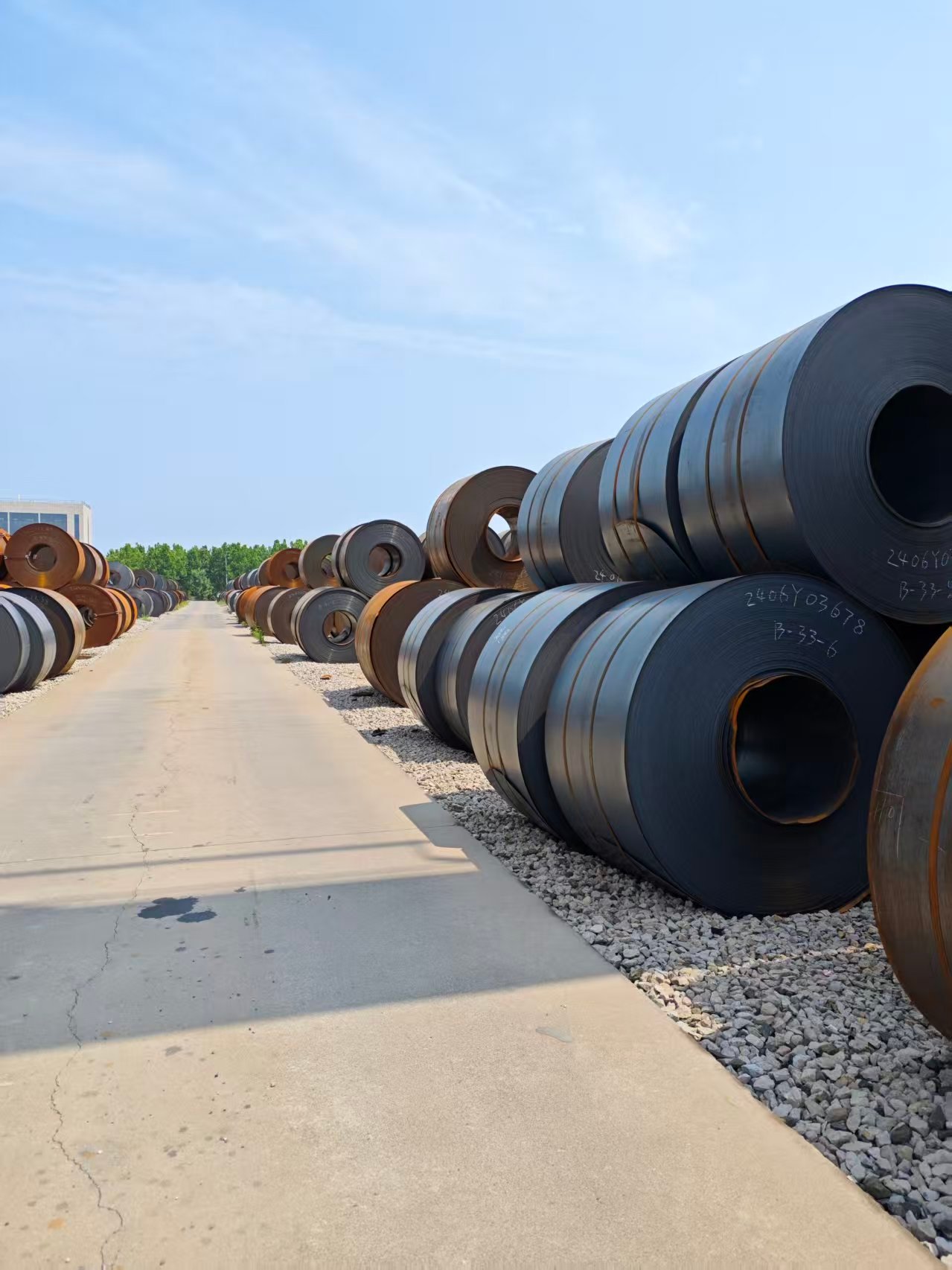 Carbon Steel Coil